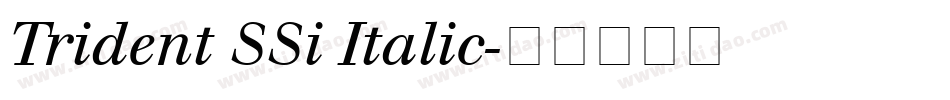 Trident SSi Italic字体转换
